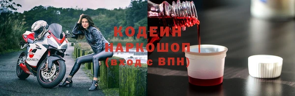 крисы Горняк