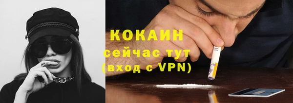 сатива Гусев