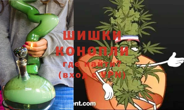 сатива Гусев