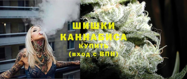 прущие грибы Гусь-Хрустальный