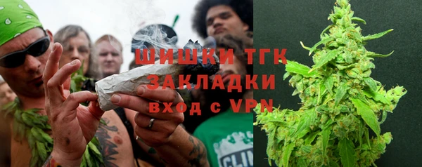 прущие грибы Гусь-Хрустальный