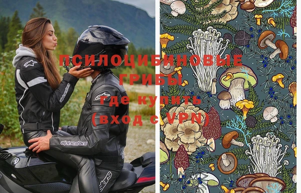 крисы Горняк