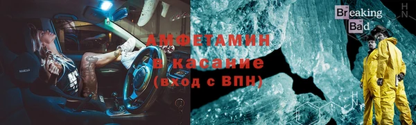 прущие грибы Гусь-Хрустальный