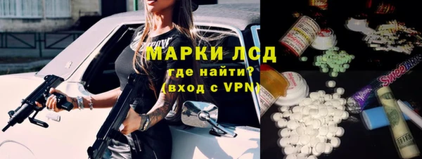 прущие грибы Гусь-Хрустальный