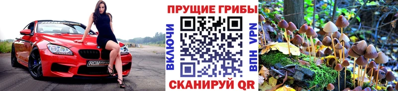 где купить наркотик  Дрезна  Псилоцибиновые грибы ЛСД 